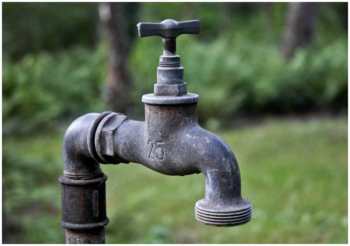 The tap